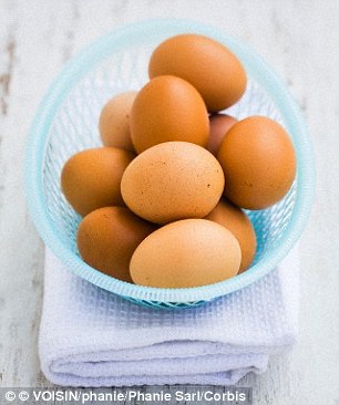 How do sperm penetrate chicken eggs