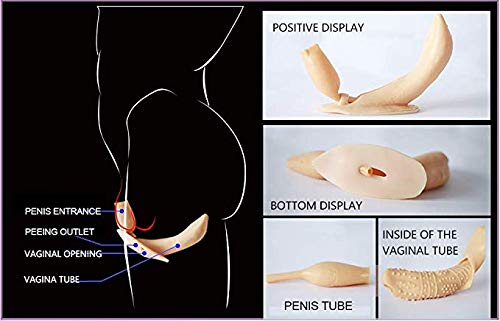 Penis in vagina dicast