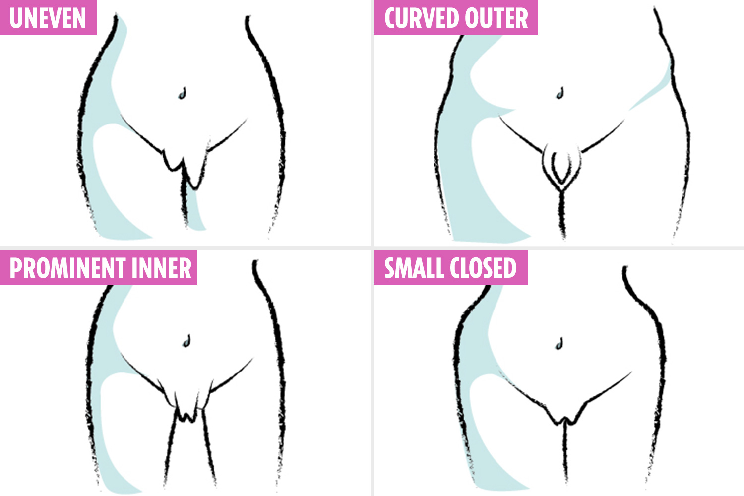 Different images and shapes of pussy