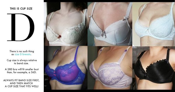 Index of d cup breast