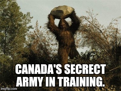Canadian army funny memes