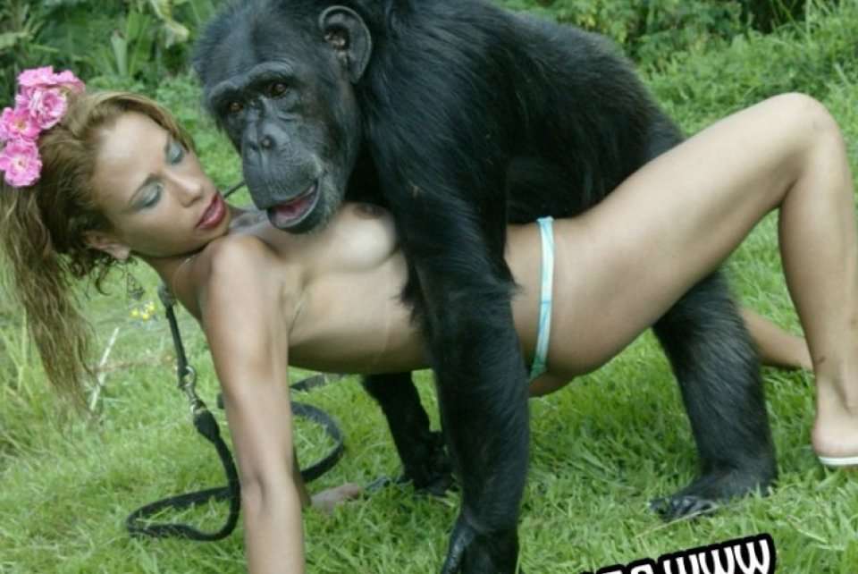 Gorilla with woman free sex tube