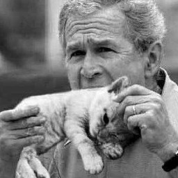 George bush eating kitten