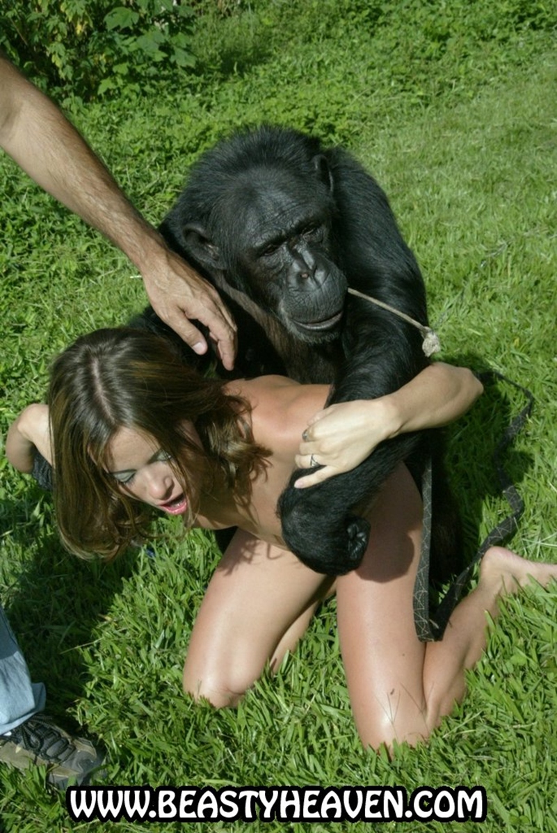 Monkey and girl sex
