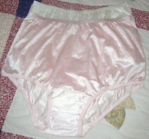 Full cut nylon panty