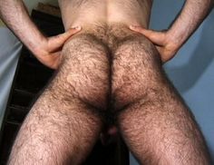 Men hairy nude ass