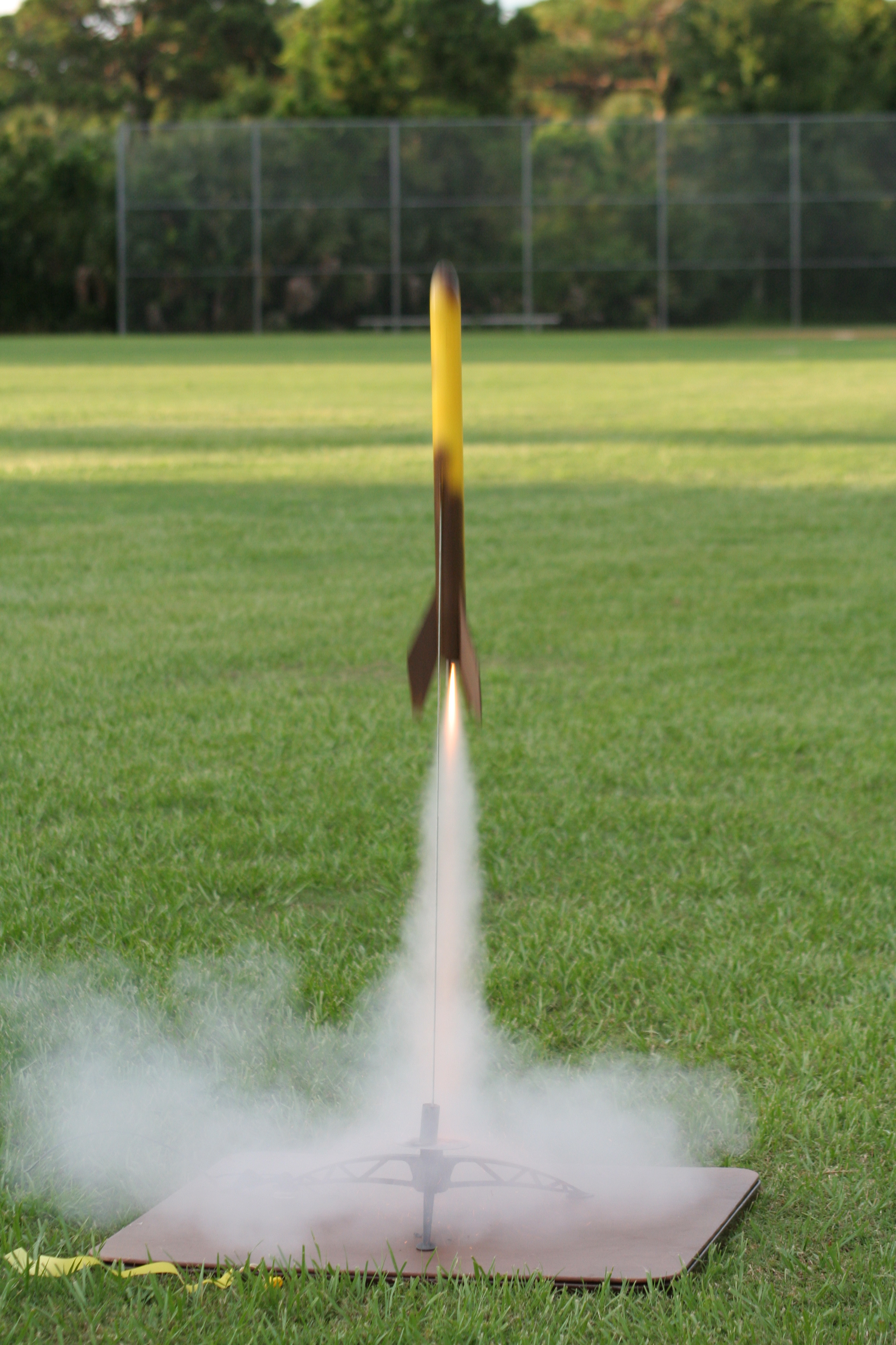 Amateur rockets that reached space