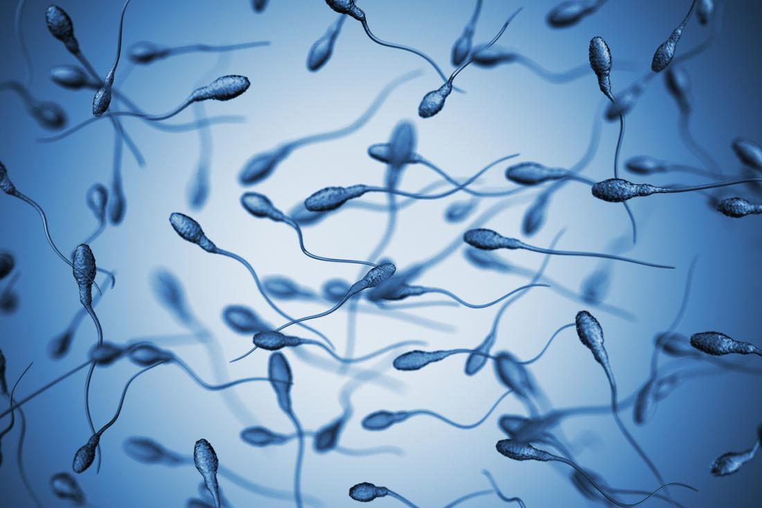 Life of sperm outside the body