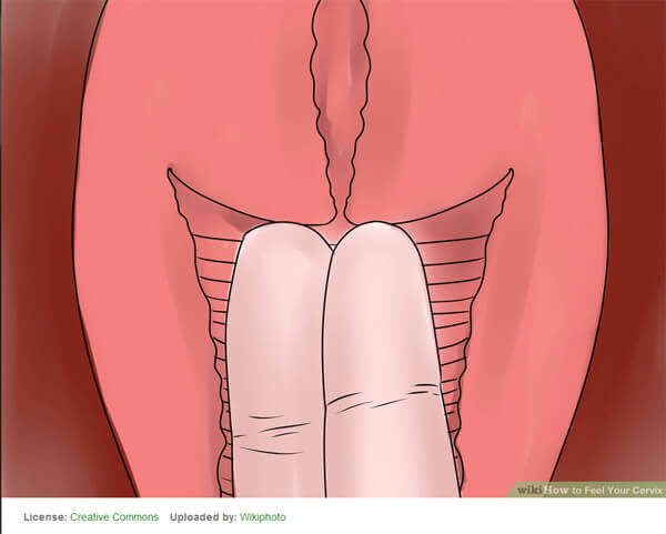 How to measure your vagina
