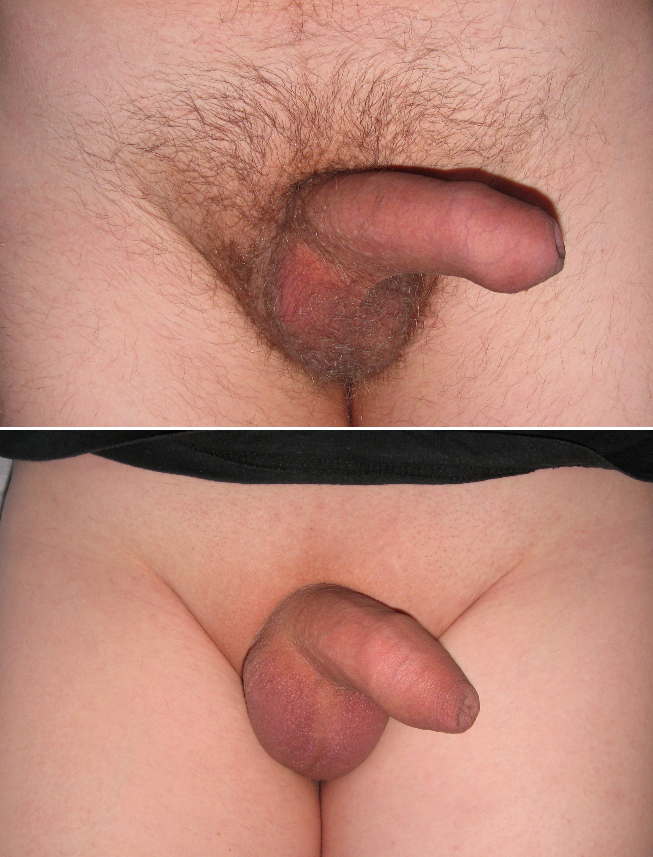 Shaved or unshaved vaginas